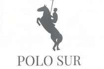 Logo POLO SUR
